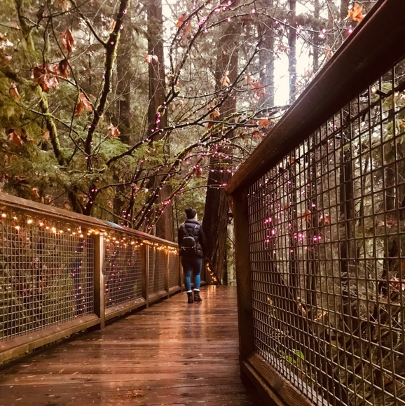 Meet your Posher, Julia - Picture 3 of 3